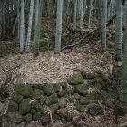 入組んだ石垣群