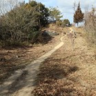 主郭と東曲輪の堀切