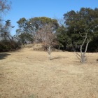 本丸跡：奥が天守台