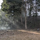 北の丸、朝日が射し込む