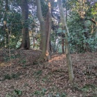 本堂裏手、土塁っぽい