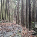 この先の尾根に取り付く