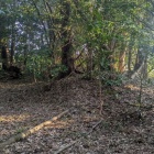 やっぱり土塁っぽい