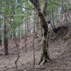 動線でもある腰曲輪