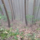 竪堀を見ながら登る