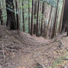 南側の堀切も竪堀に