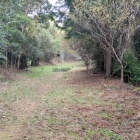 一段上の広い削平地