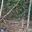 城山神社入口からすぐの横堀