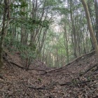 西側の竪堀群の一条