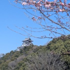 駐車場からの遠景