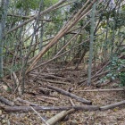 堀底に降りてみる