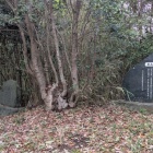 農兵活躍の石碑