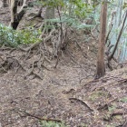 南側の堀切を尾根上から