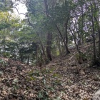 大手道には堀切も