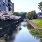 ⑧	長塀と坪井川