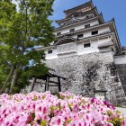 ⑥	唐津城と躑躅（つつじ）