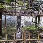 ④	満開の藤の花（二ノ丸）