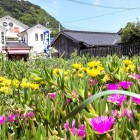 ④	宝くじ売り場（宝当乃館）と花畑