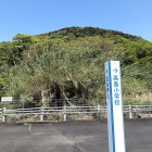 ⑧	高島の頂上を見上げる