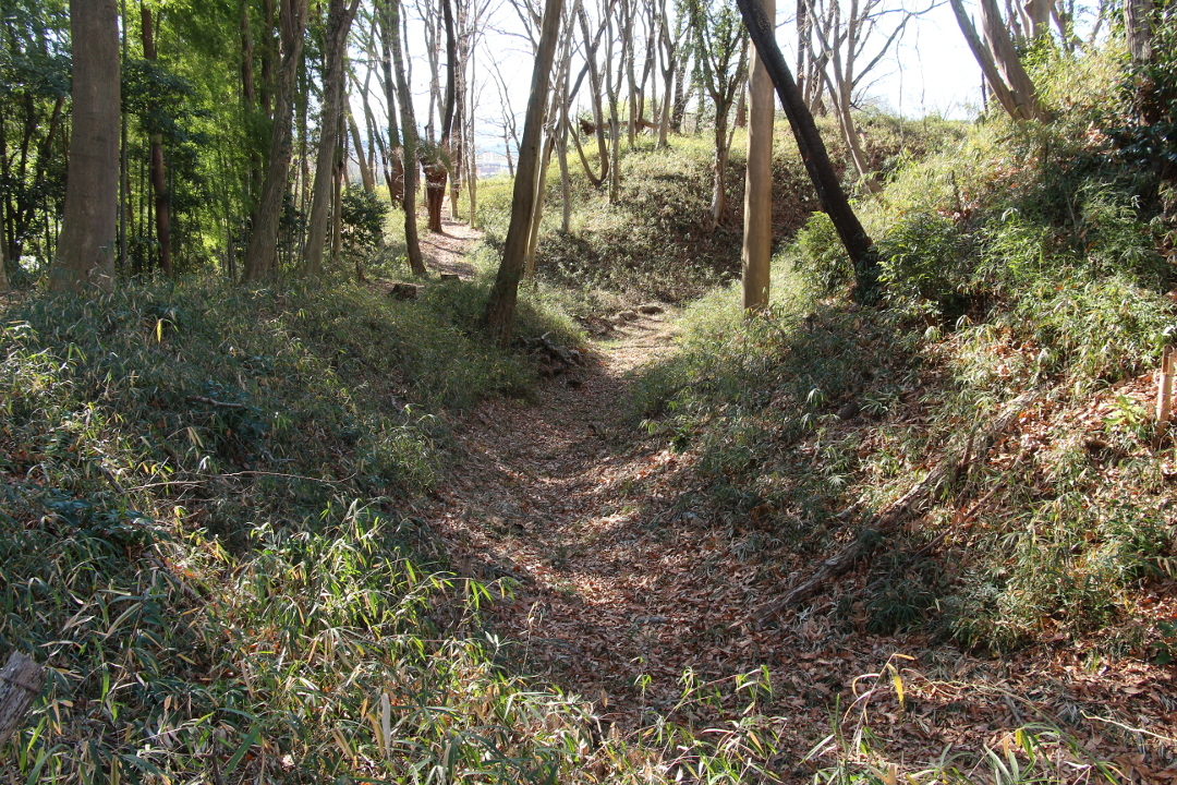 二の丸南側の堀と土塁(左)