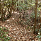八の郭南の土橋