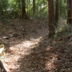 本丸東側中腹部の堀と土塁