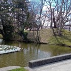 ⑤本丸北側の土塁と水堀