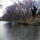 ⑦二の丸北堀