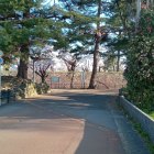 土橋門跡