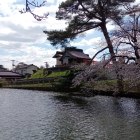⑦御城稲荷神社(現存)と土塁・水堀
