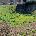 ③下渡門　堀跡