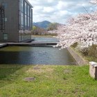 ④百間堀跡の新百間堀