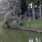 水堀と土塁(東側から撮影)