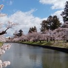 ⑤二の丸西堀