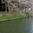 水堀と土塁(神社北側)