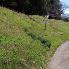 ①藤基神社　土塁