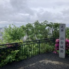 仙台市内を一望