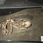 屈葬人骨モデル💀