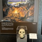 北京原人の頭蓋骨💀