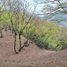 堀切
