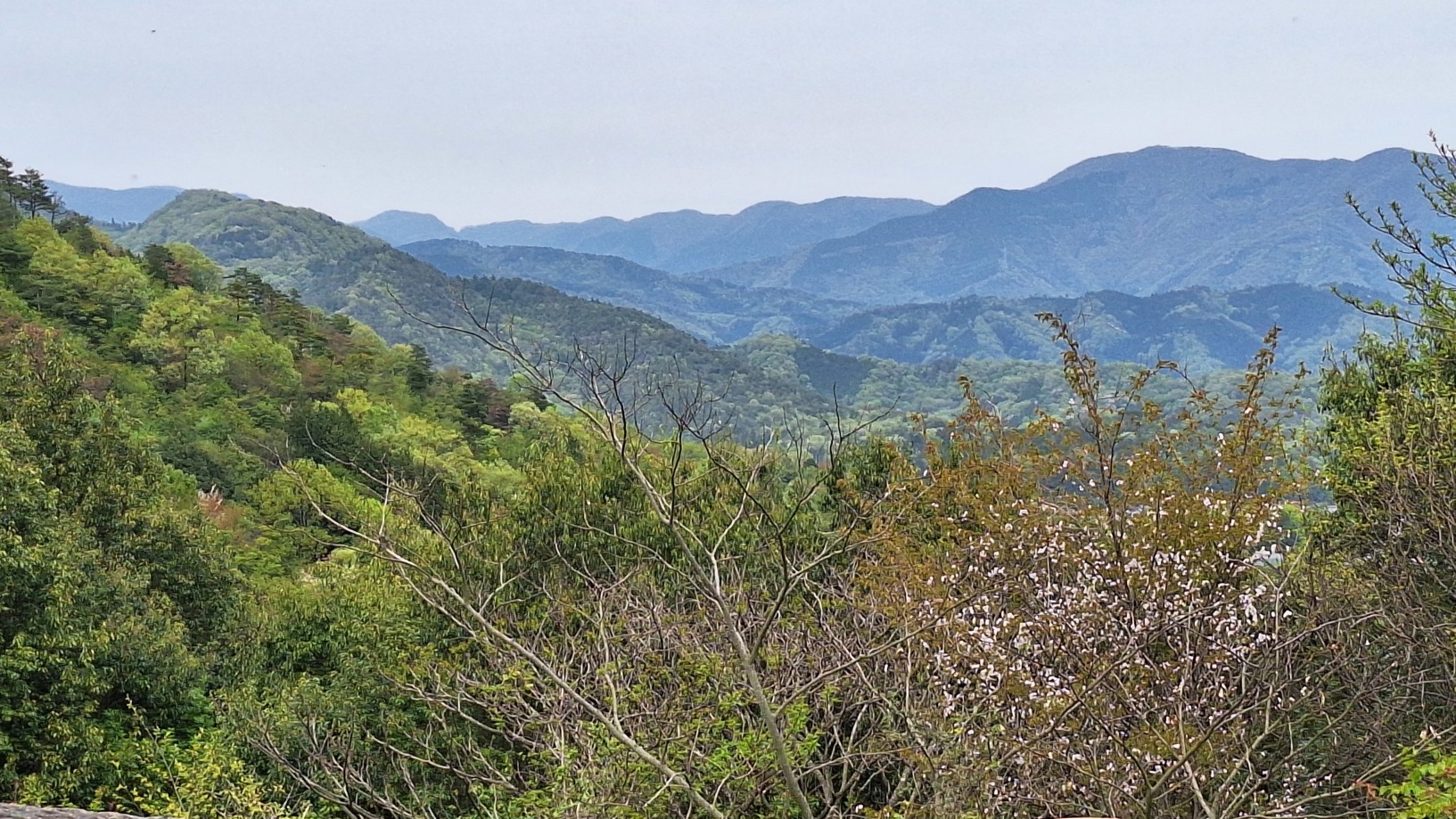 虎御前山から小谷城方面を望む