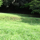 前田利家陣
