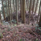 出丸のような東側の郭
