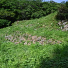 前田利家陣