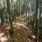 登城路
