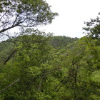 山王丸から見た大嶽
