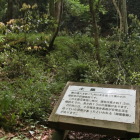御屋敷跡前の土塁