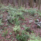 御屋敷跡
