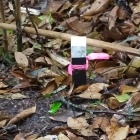 ピンクリボンの巻かれたポイント