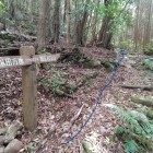 復路は青線で